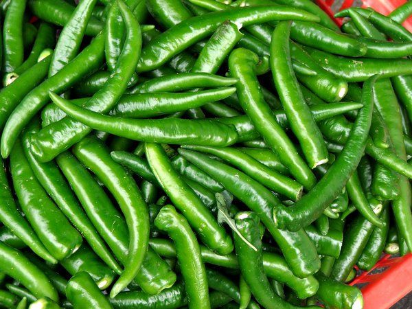 Beneficios para la salud increíble de comer chiles verdes