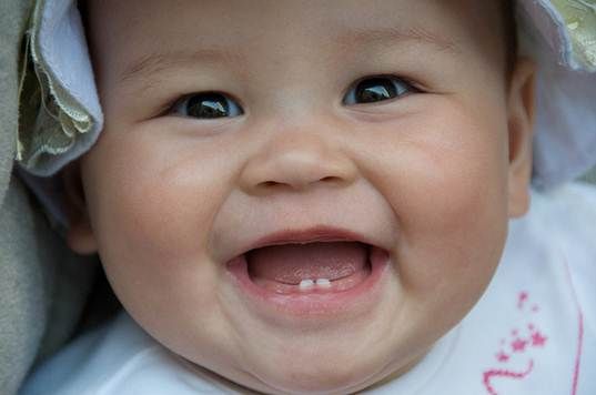 ¿A qué edad el bebé comienza a recibir los dientes? ¿Cuál sería el comportamiento del bebé al obtener los dientes?