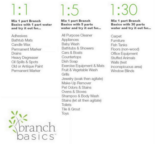 Fundamentos Branch Usos