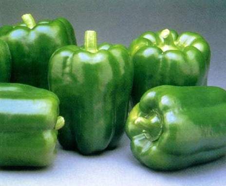 pimiento