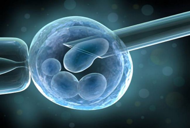 Temas actuales en terapia investigación células madre