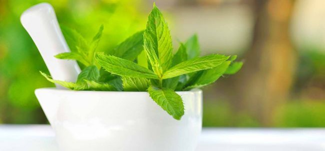DIY- increíble Mint Leaves Mascarilla para refrescar la piel