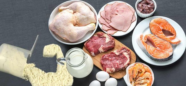 Hace dieta alta en proteínas ayuda que en el músculo de ganancia?