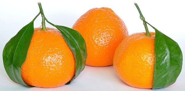 piel brillante con naranja