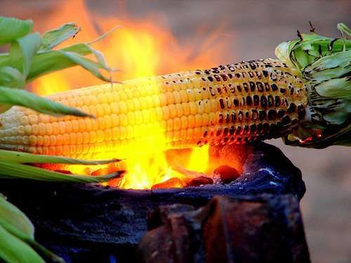 alimentos monzón