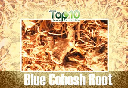 raíz cohosh azul