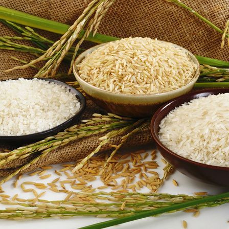 Arroz