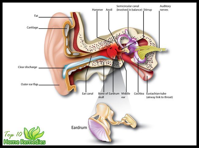 infección del oído