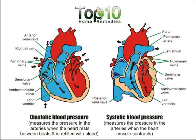 arterial sistólica presión diastólica