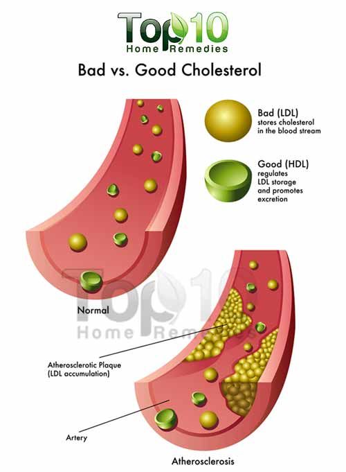bueno contra el colesterol malo