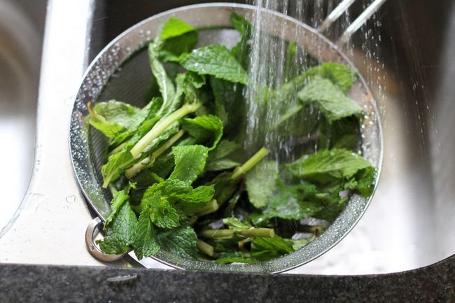 Mint Extracto Receta - Extracto de menta Receta - Ohhh, me`m going to add a minty twist to my favorite brownies, chocolate pudding, ice cream, hot chocolate or tea! This two-ingredient mint extract recipe looks so easy.