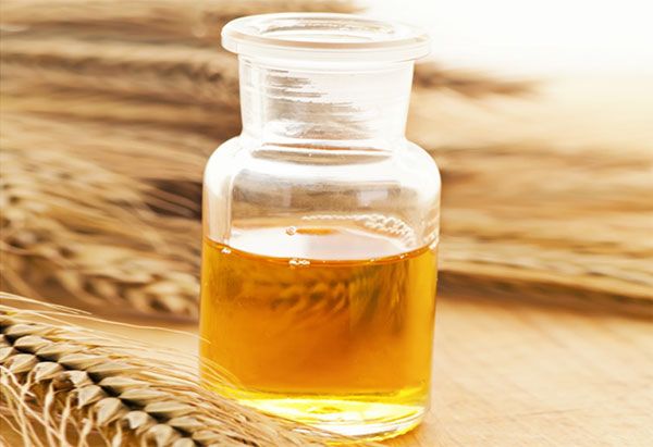 ¿Cómo es el aceite de germen de trigo bueno para la piel - beneficios para la salud del aceite de germen de trigo