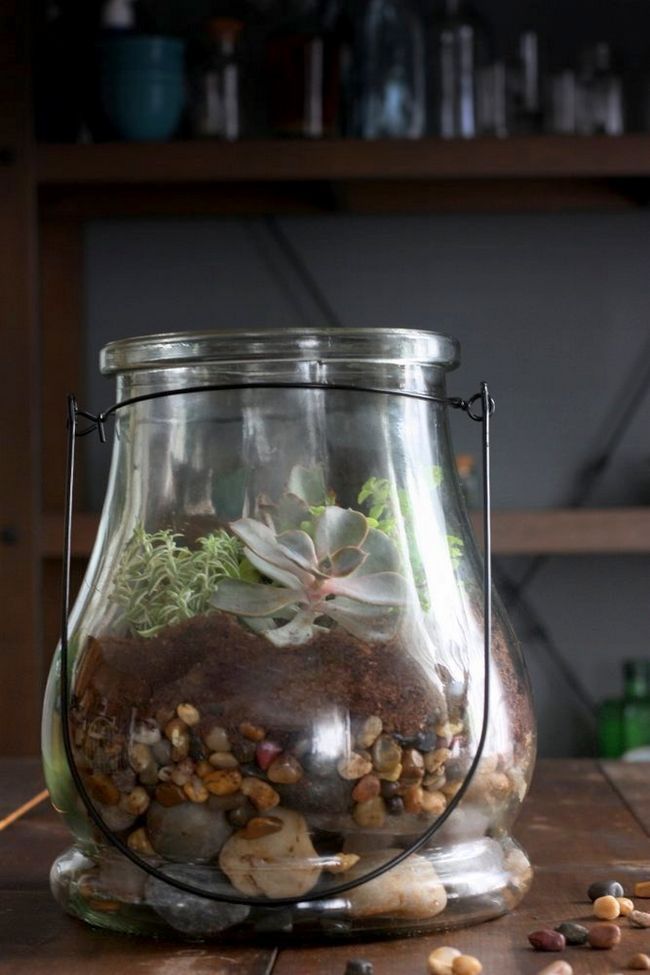 how-to-make-suculenta-terrarium1
