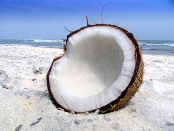 cómo hacer la harina de coco con coco fresco