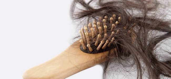 Cómo Mima tu cabello con una pérdida de aceite caliente Masaje Para evitar que el pelo?