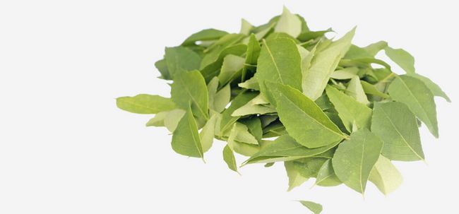 Cómo utilizar Curry Leaves para prevenir la pérdida del cabello?