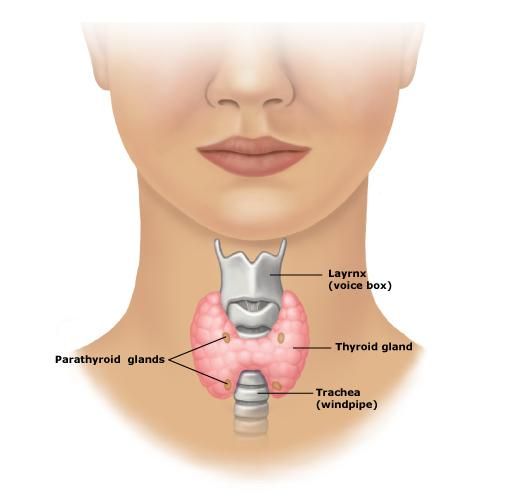 Razones y síntomas de problema de tiroides en las mujeres