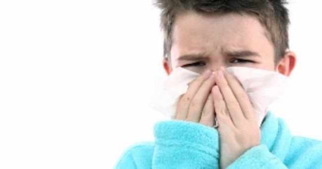 Detener los síntomas del resfriado en niños a través de bacterias útiles