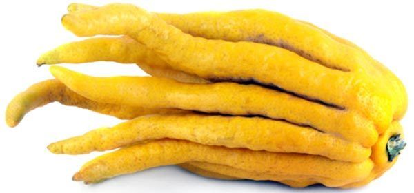 Budas Mano