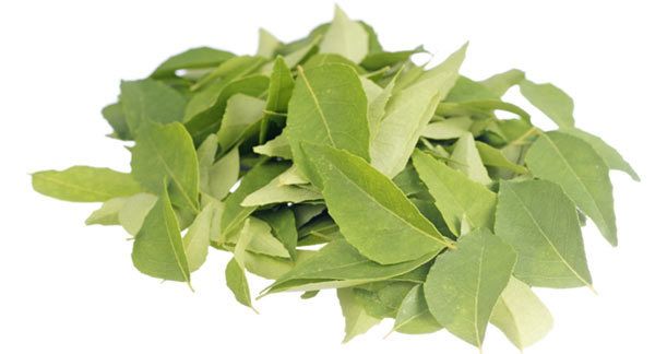 hojas de curry para el crecimiento del cabello