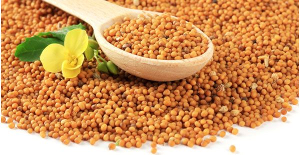 beneficios de las semillas de mostaza