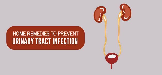 Top 15 Remedios caseros eficaces para prevenir la infección del tracto urinario