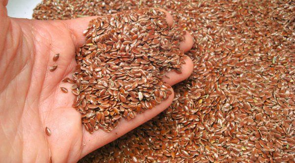 Top beneficios de las semillas de lino de la alimentación para la salud