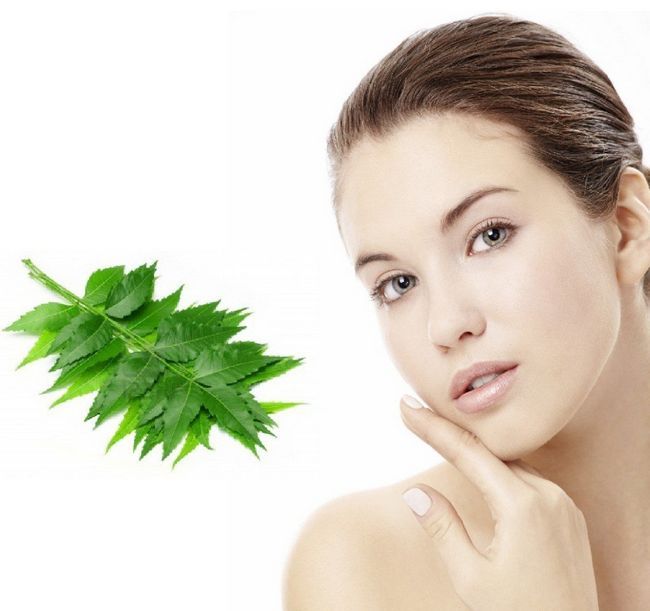 Top beneficios del neem para el cuidado de la piel