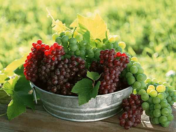 Lo más beneficios para la salud de las uvas