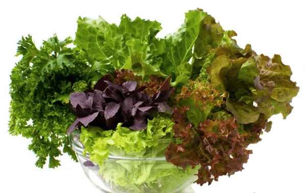 Lo más beneficios para la salud de los vegetales de hojas verdes
