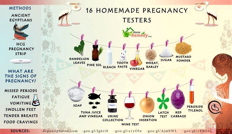 16 Probadores de embarazo caseras