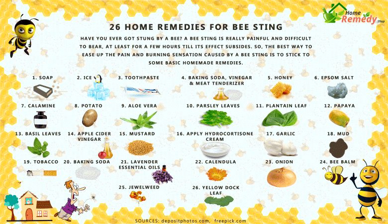 26 Home Remedies For Bee Sting 1 
