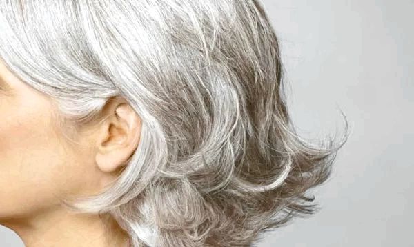 29 Probado Remedios caseros para el pelo gris