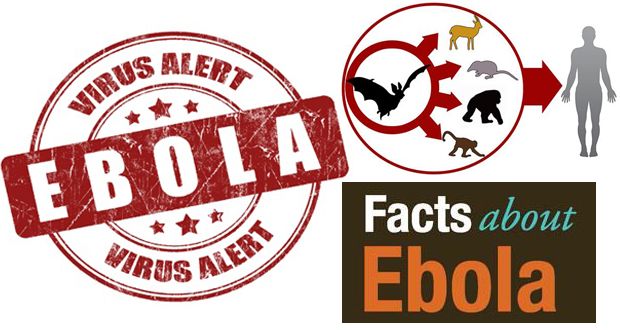 Hechos virus Ebola - causas, síntomas, diagnóstico, tratamiento y prevención